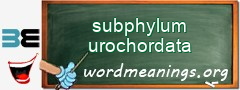 WordMeaning blackboard for subphylum urochordata